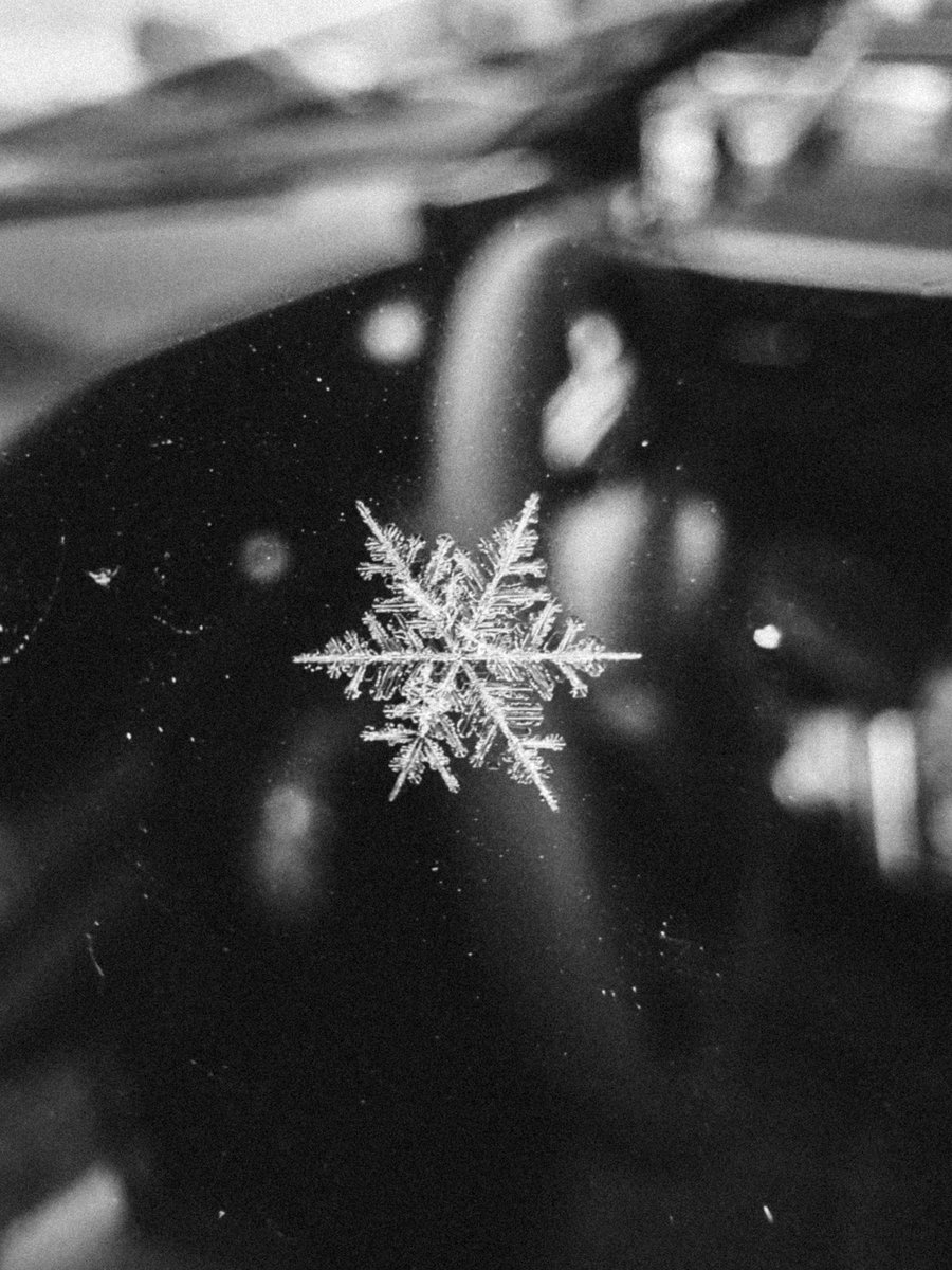 TheTangleleg's tweet photo. The cold and snowy weather just continues on and on. https://t.co/AvyjqQUGmK