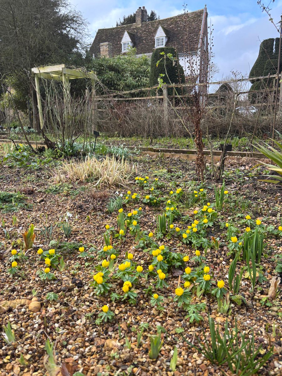 The Manor tweet media