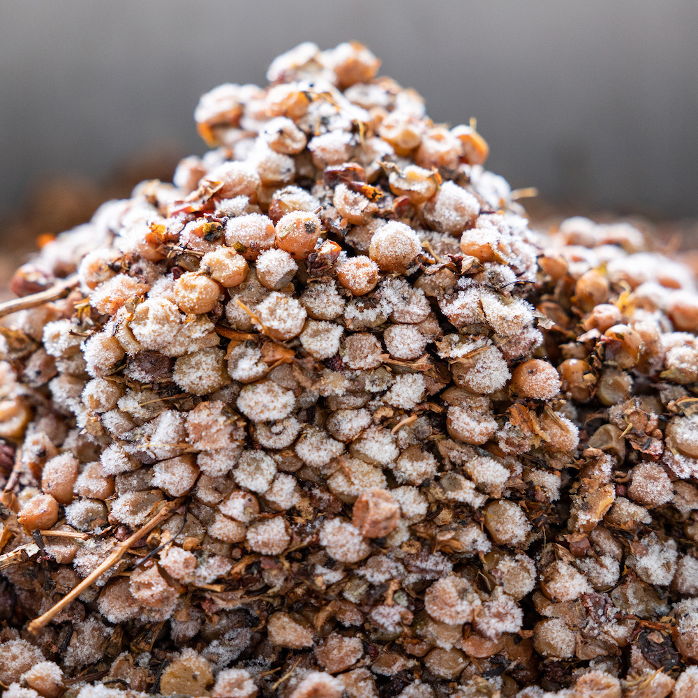 Rick VanSickle tweet media