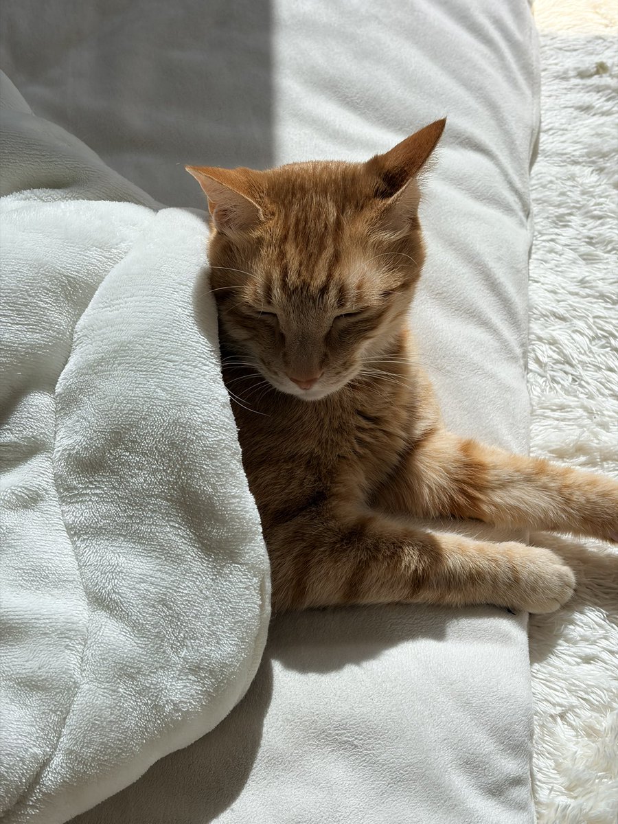 中井ペイント@静岡市浜松市 tweet media