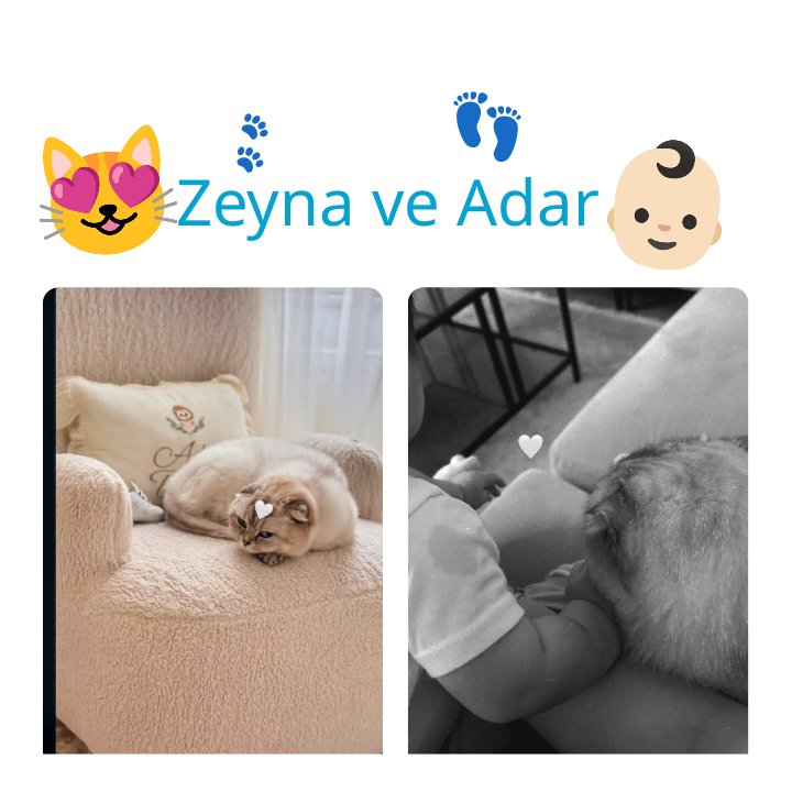 TaniaGreidy's tweet photo. Zeynam teyakkuzda! Tetikte olma hali iki katına çıktı. ☝🏻
 O, Adar'ın "koruyucusu." 
Artık ayrılmazlar ✍🏻
👣🐾🤗

#BarışBaktaş
#GülümBaktaş
#AdarDorukBaktaş 
#Zeyna https://t.co/shUQKPz2yQ
