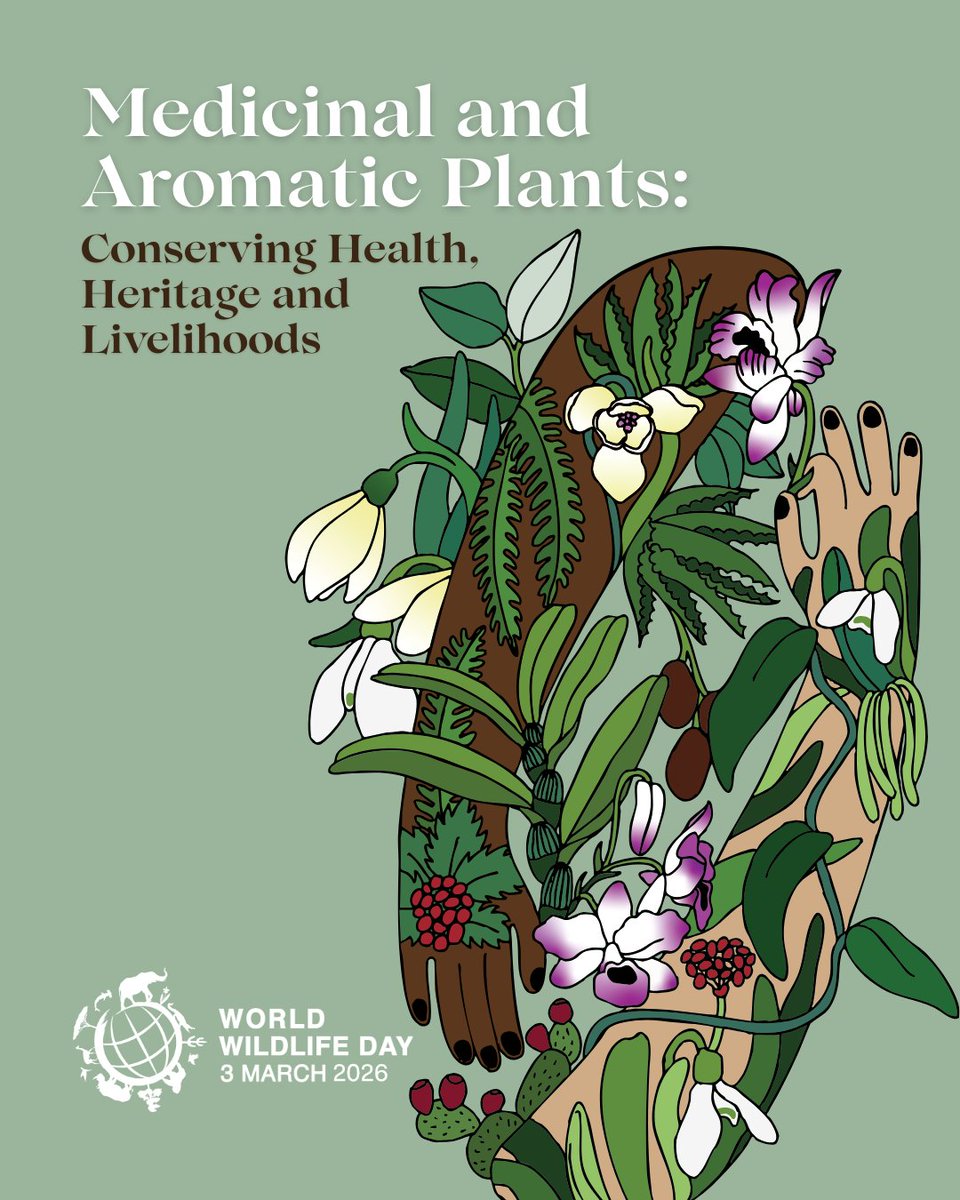 The Nature Chronicles Prize 2025/26 tweet media