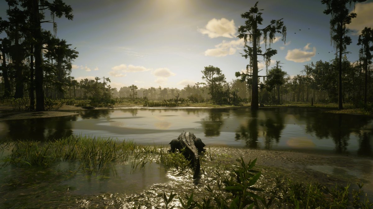 Vin Games 📸 tweet media