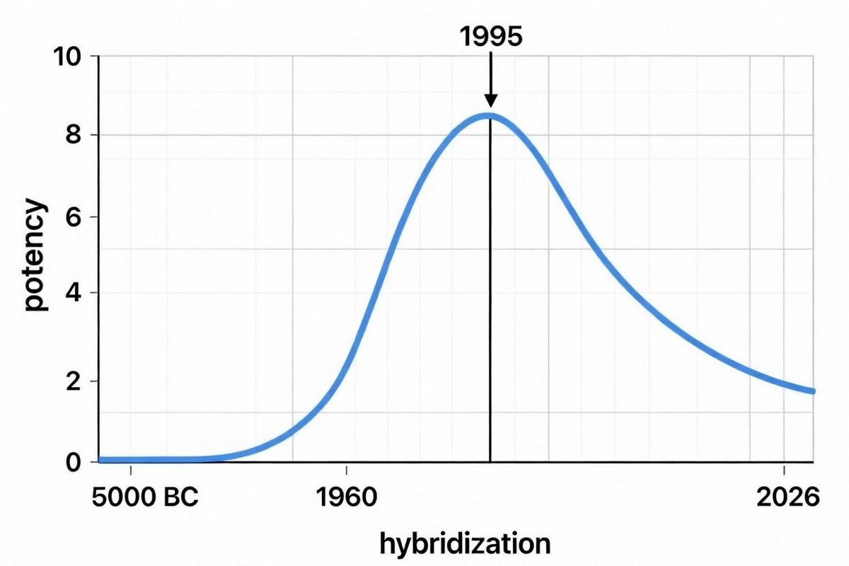 Myth: “Weed is more potent today than any other point in history!”

Wrong! 

The trippy, hallucinatory highs people remember from the 70’s/80’s/90’s were a result of the what I’ll call the Potency Bell Curve.

Decades of Polyhybridization and inbreeding have left us with an