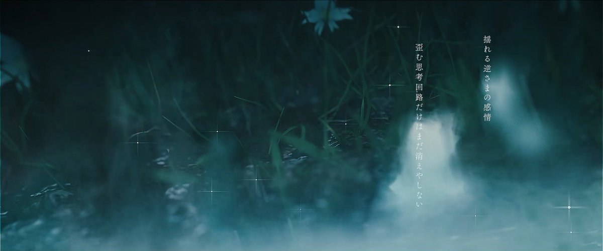 nunnu_______'s tweet photo. 二年半前に律（@_Rts87）さんと制作したMVです！
是非ご覧下さい！🪻🪻 https://t.co/LzV1dWyj4i