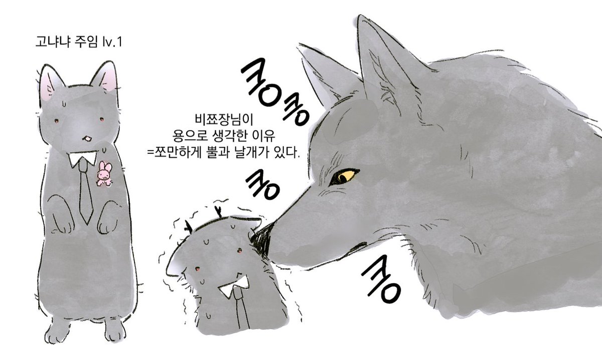 보니ᙏ̤̫( ‸ ↀ (@BoNnyS2_) / Posts / X