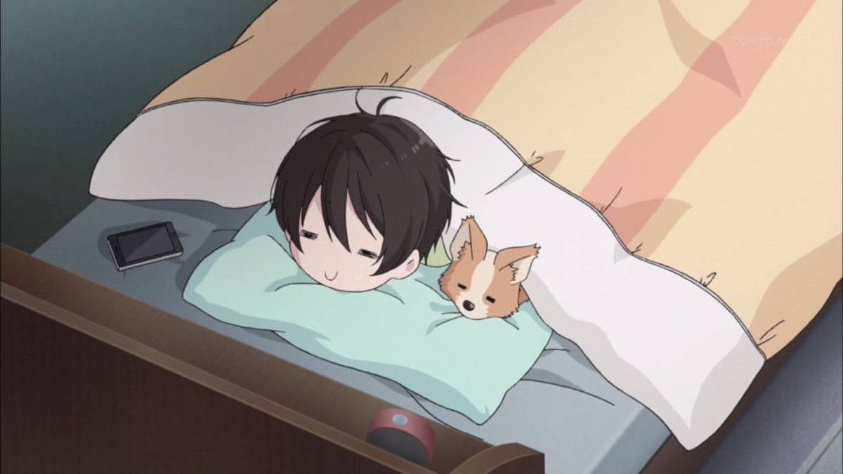 本日もお疲れさまでした
おやすみなさ〜い💤
#おやすみ 
#ゆるキャン