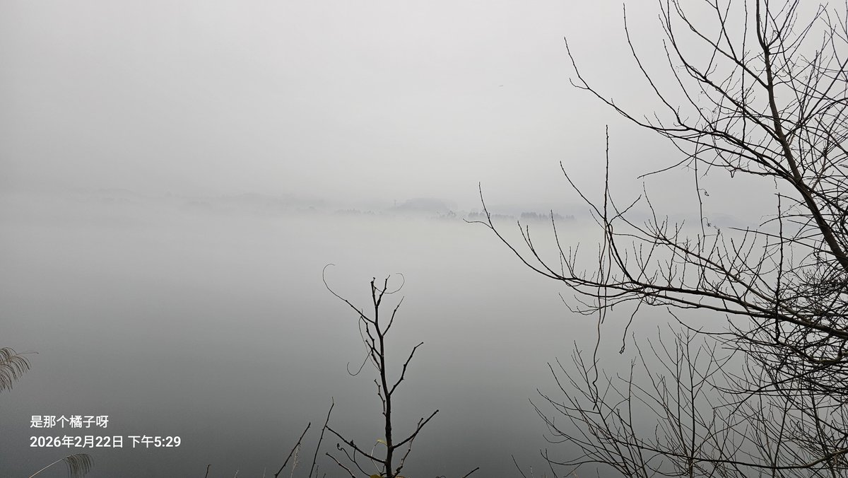 是那个橘子🍊 tweet media