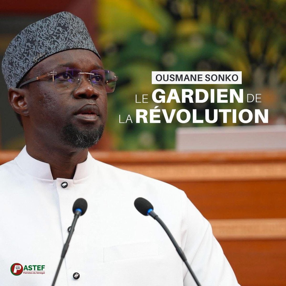 📌Des ❤️ pour Le Gardien de la Revolution 🇸🇳