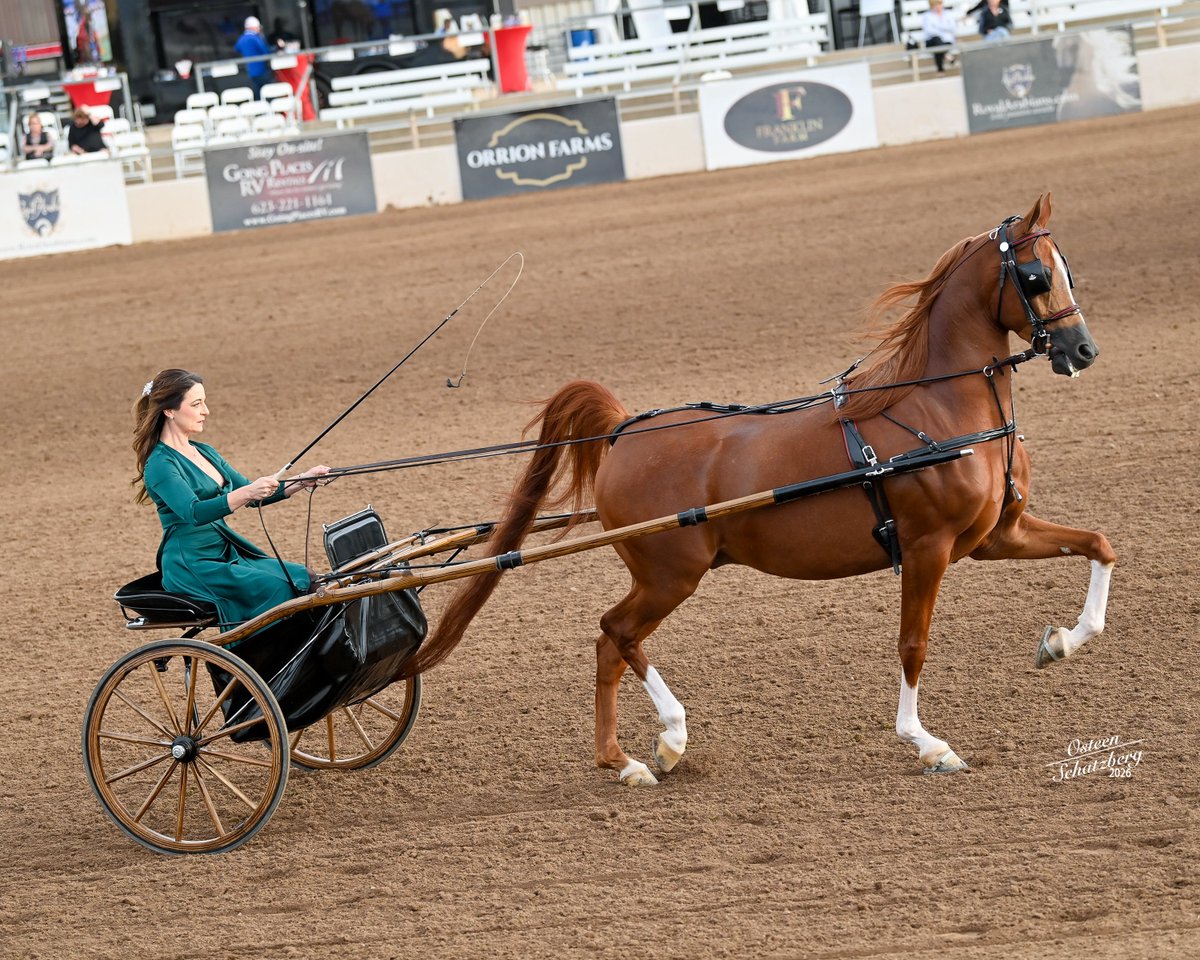 USEF Network tweet media