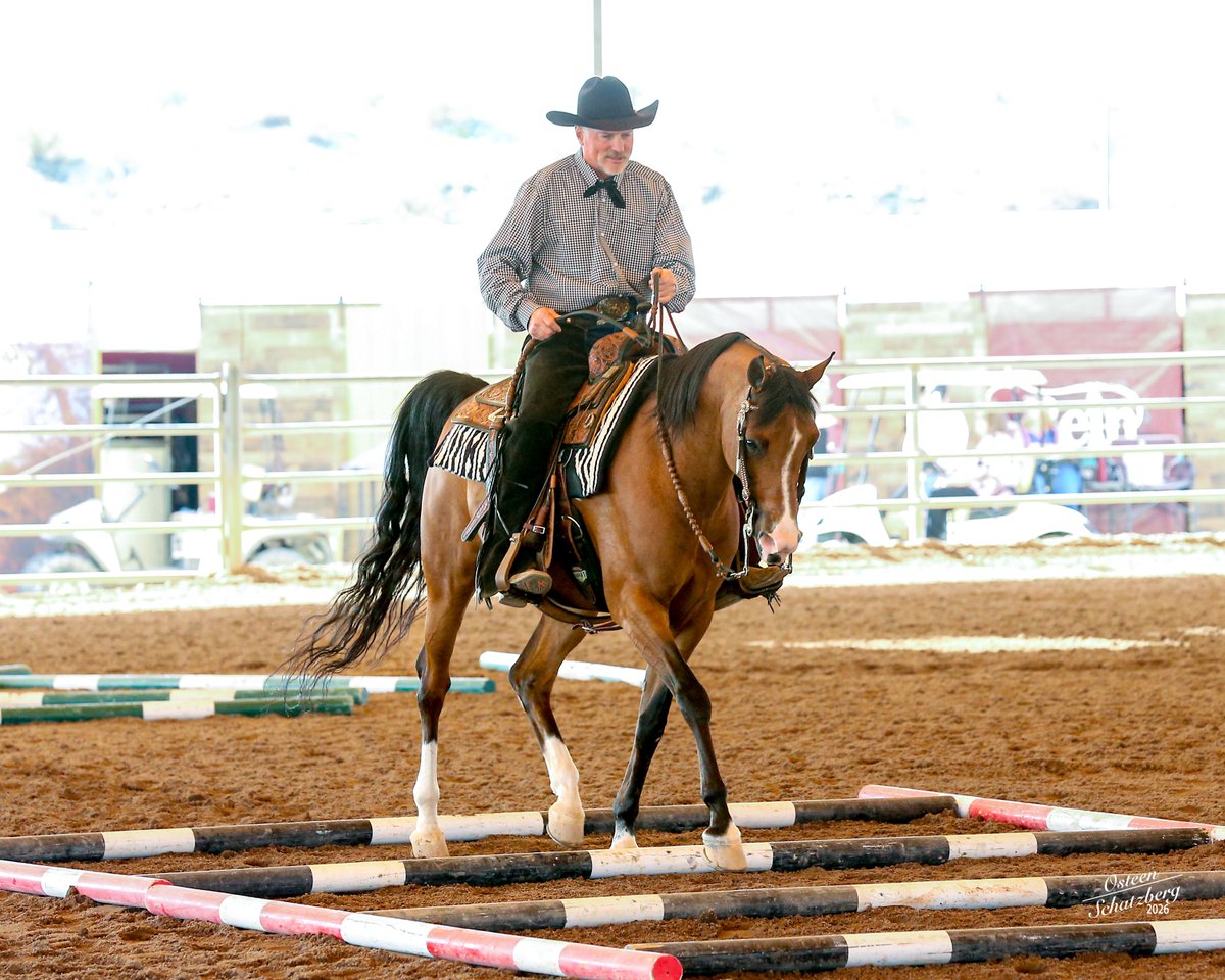 USEF Network tweet media