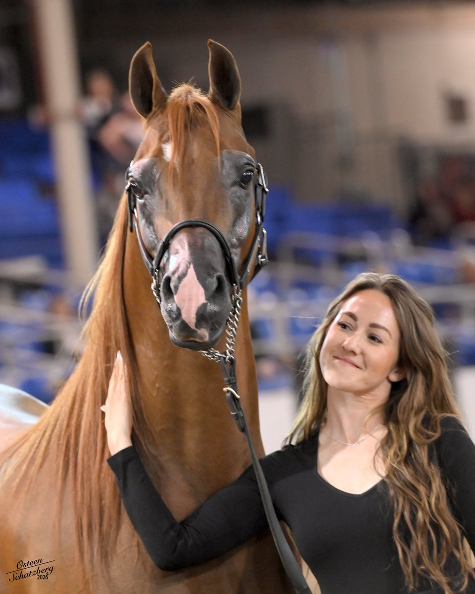 USEF Network tweet media