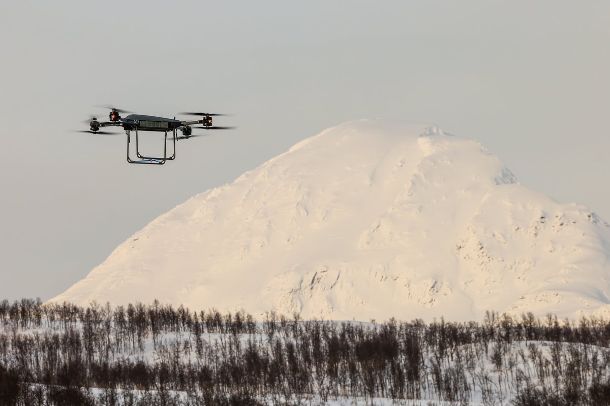 Royal Marines tweet media