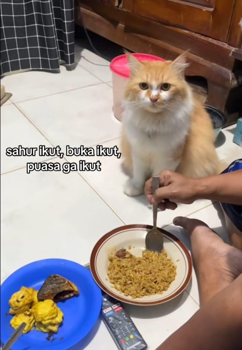 KOS (Komunitas Orang Sinting) (@qrivasi) on Twitter photo 