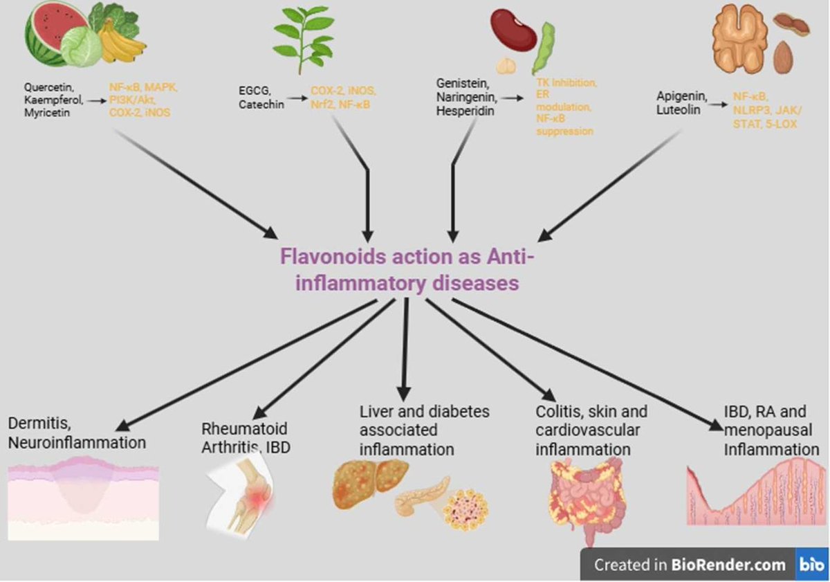 🔬 RicardoMontes tweet media