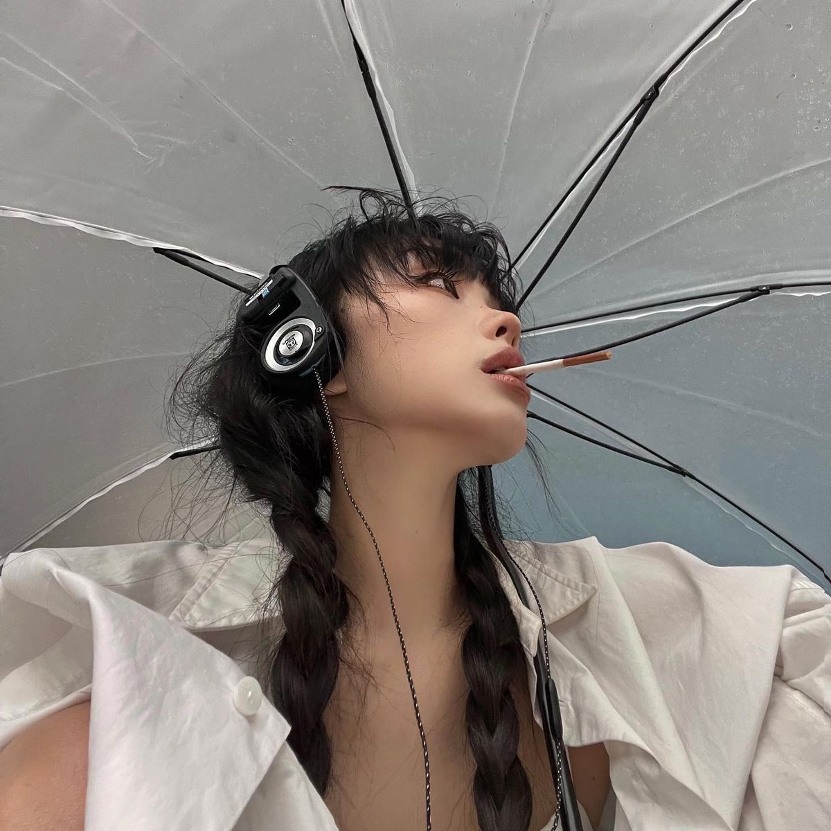 𝙺𝚛𝚢𝚙𝚝𝚘 𝙲𝚊𝚝 𝙶𝚒𝚛𝚕 ݁˖˙ tweet media