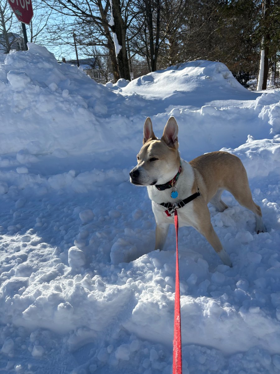 leadmyskepticsight tweet media