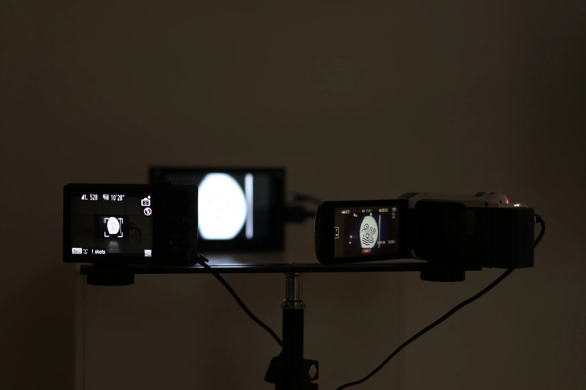 インスタ部 tweet media