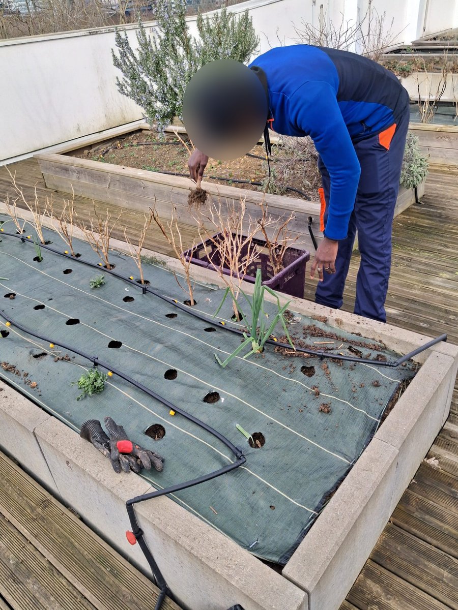 Association Action et Transition tweet media