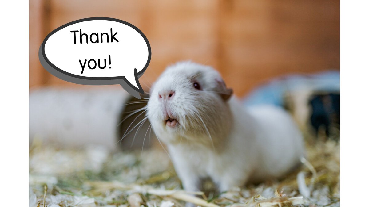 Blue Cross Stream Team🔜 Dreamhack Birmingham tweet media