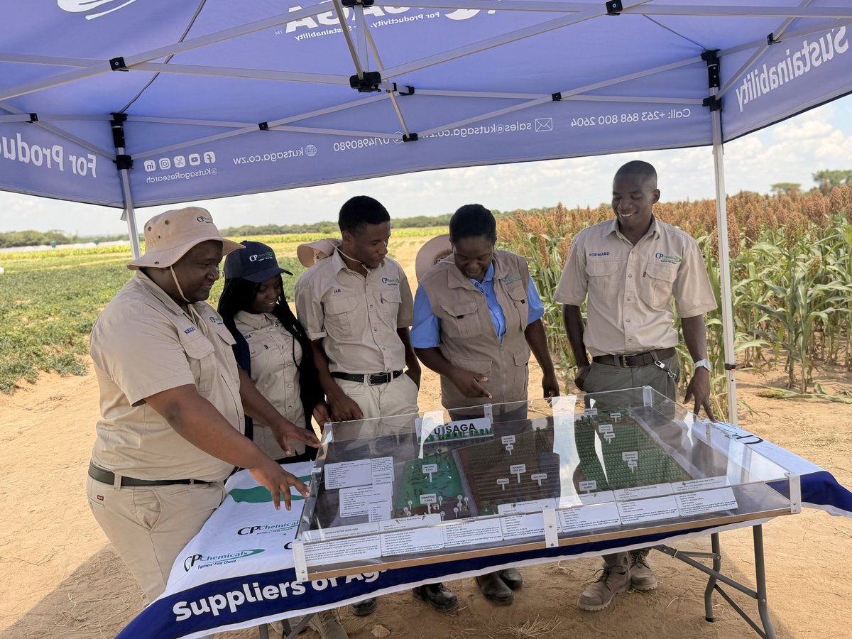 ForwardMakasi1's tweet photo. Today, we joined forces with #Kutsaga, #SeedCo, #Proplastics, #BrownEngineering, and other stakeholders at the inaugural #KutsagaModelFarm Field Day. The turnout was amazing, and discussions were lively as farmers saw firsthand how the concept on the #modelfarm can transform lives. As #CPCHEMICALS we are proud to have played a role in supporting this initiative with our innovative crop protection solutions and expertise. A heartfelt thank you to each and everyone who attended this event! 
#CPCHEMICALS@20 
#Farmers’firstchoice