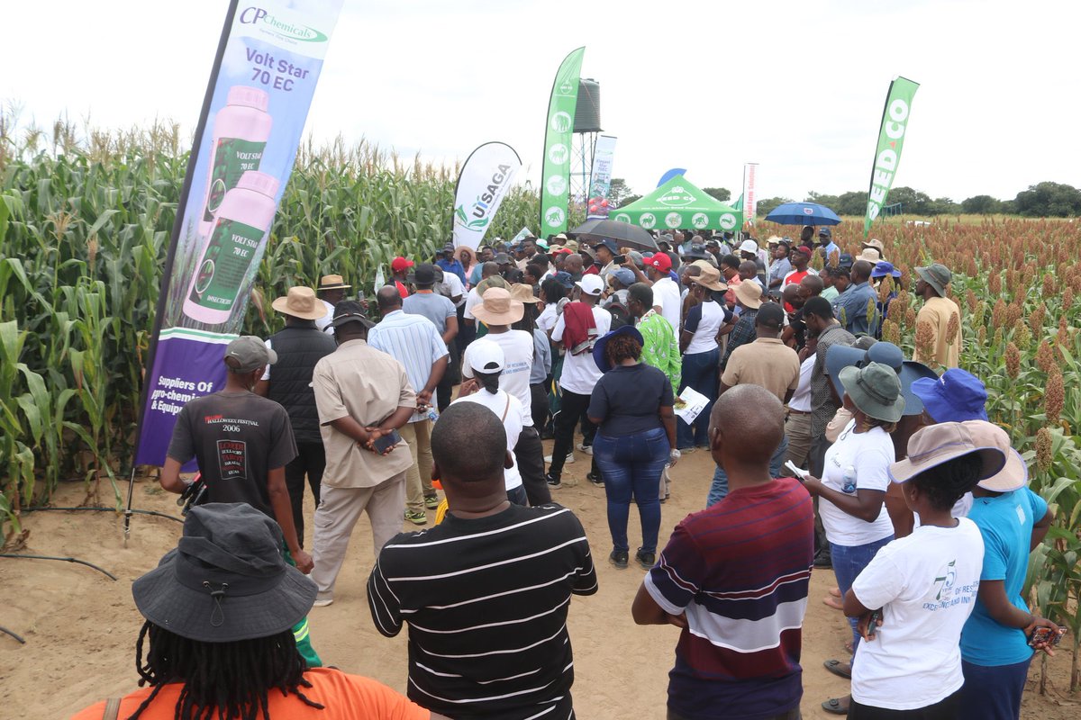 ForwardMakasi1's tweet photo. Today, we joined forces with #Kutsaga, #SeedCo, #Proplastics, #BrownEngineering, and other stakeholders at the inaugural #KutsagaModelFarm Field Day. The turnout was amazing, and discussions were lively as farmers saw firsthand how the concept on the #modelfarm can transform lives. As #CPCHEMICALS we are proud to have played a role in supporting this initiative with our innovative crop protection solutions and expertise. A heartfelt thank you to each and everyone who attended this event! 
#CPCHEMICALS@20 
#Farmers’firstchoice