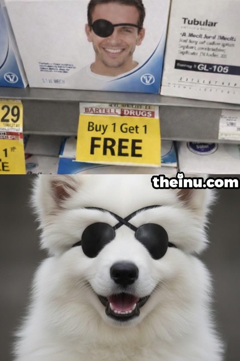 INU. tweet media