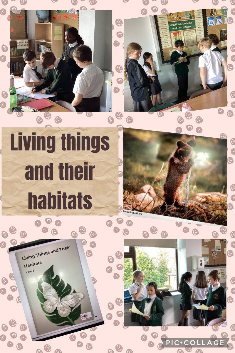 St Oswald's Catholic Primary School - Year 5 tweet media