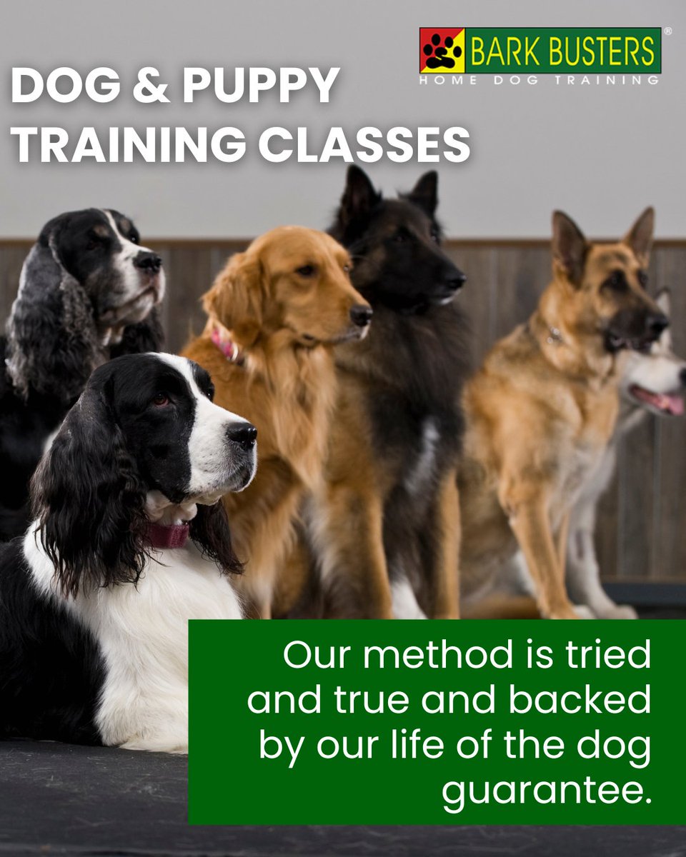 Bark Busters Home Dog Training Greater LA (@barkbusterla) / Posts / X