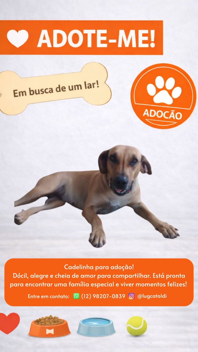 luciana g cataldi tweet media