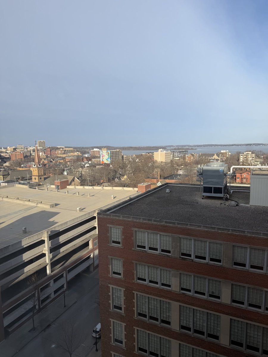 Nicholas Hellmuth tweet media