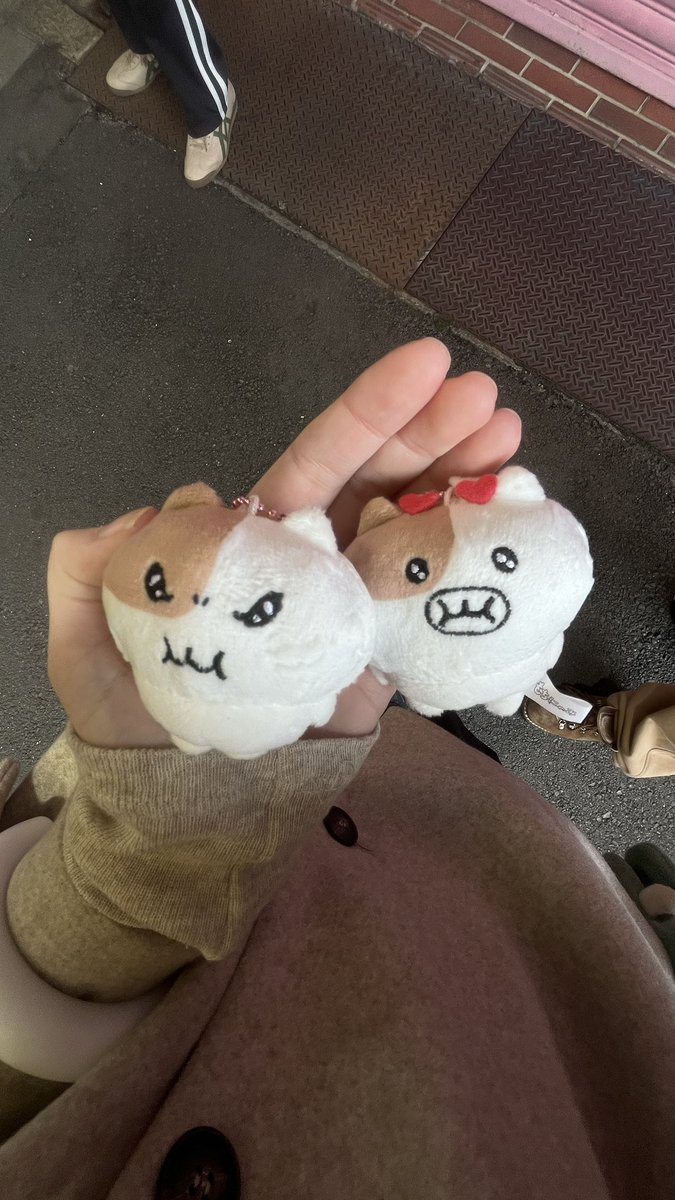 imo1226's tweet photo. #일상계트친소 https://t.co/DfgT4h0MDW