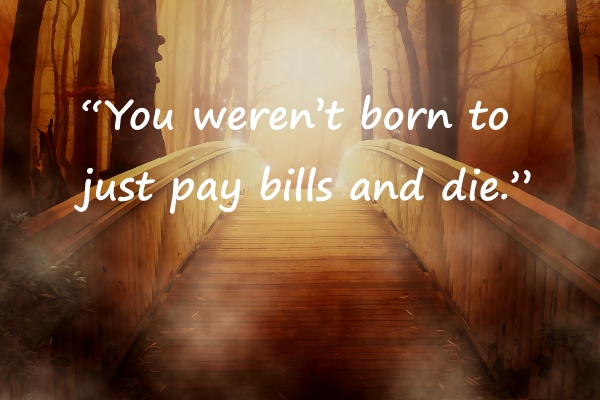 TrainingMindful's tweet image. #live #life