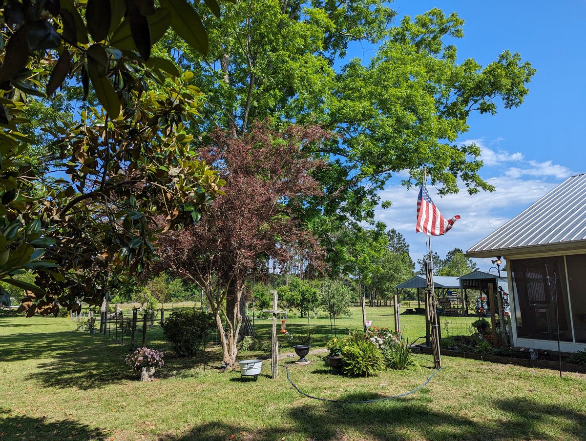 Good morning from the farm