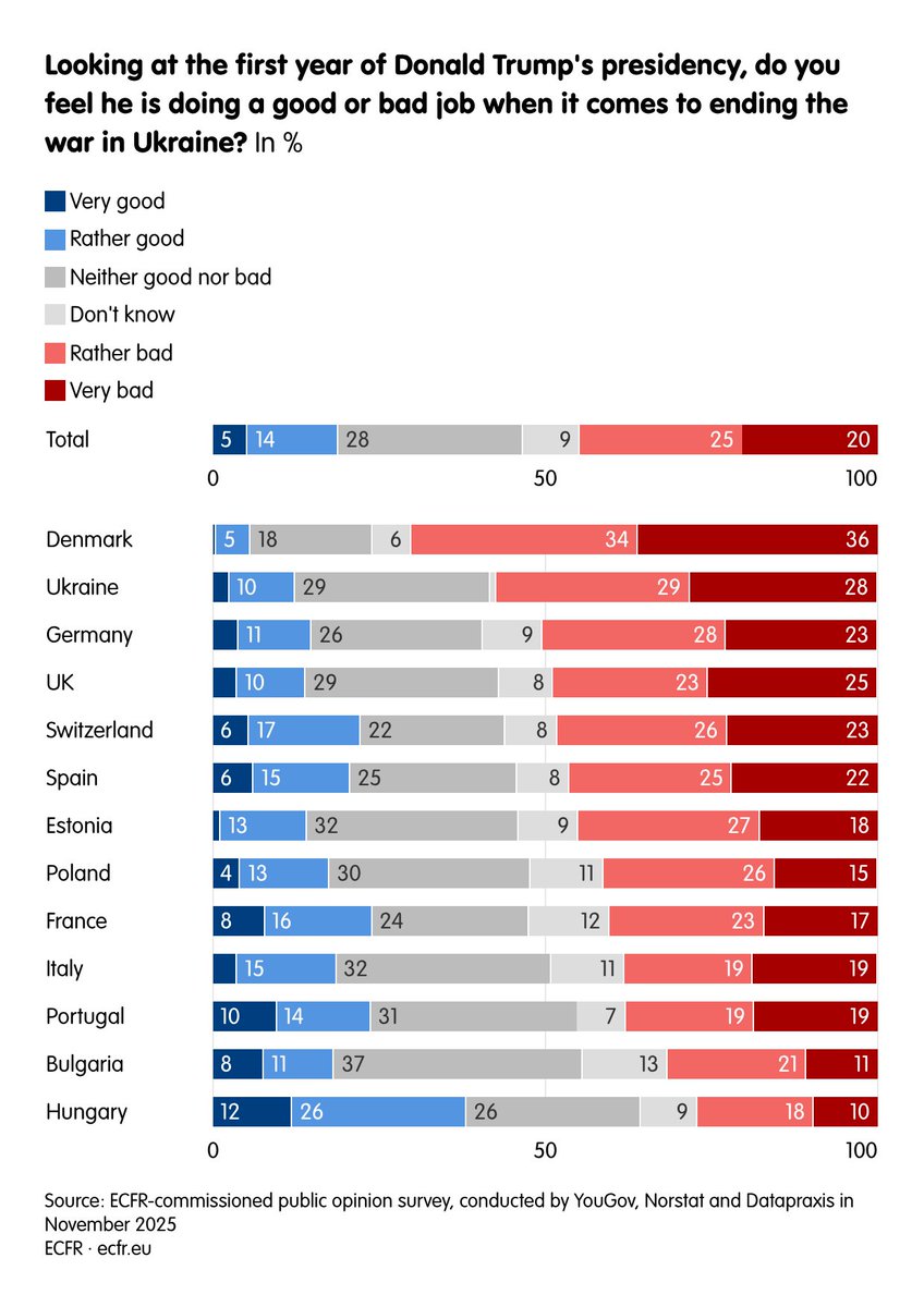 ECFR tweet media