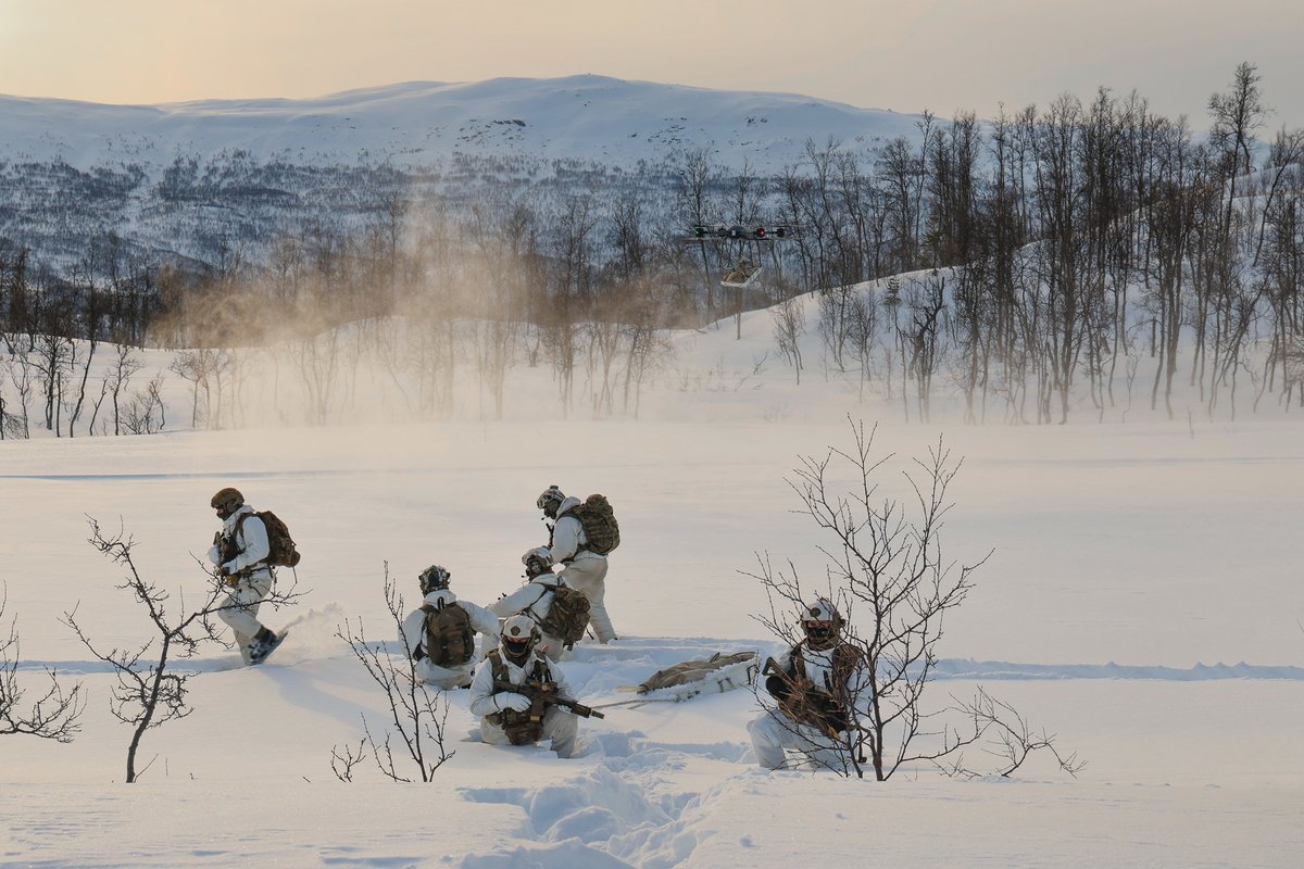 Royal Marines tweet media