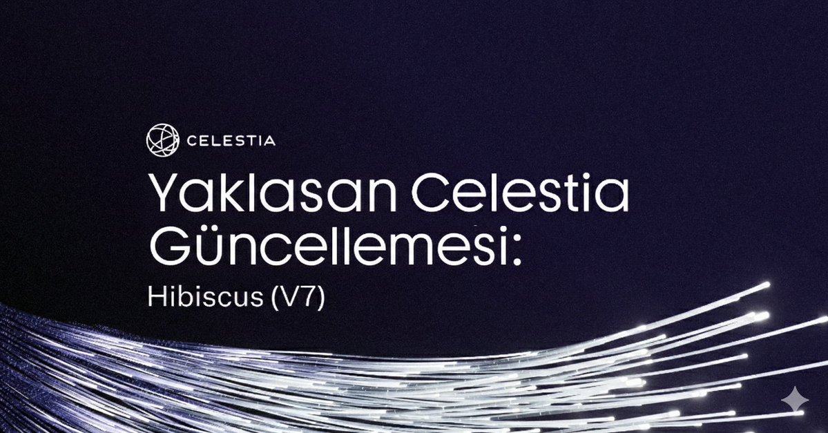 NakoTurk 🔗 tweet media