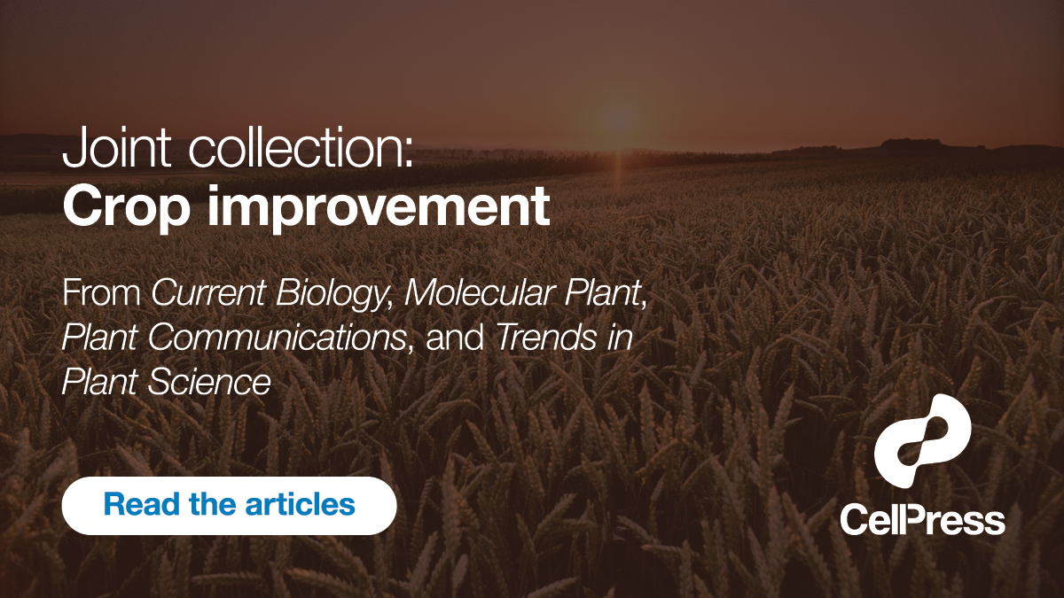 Current Biology tweet media