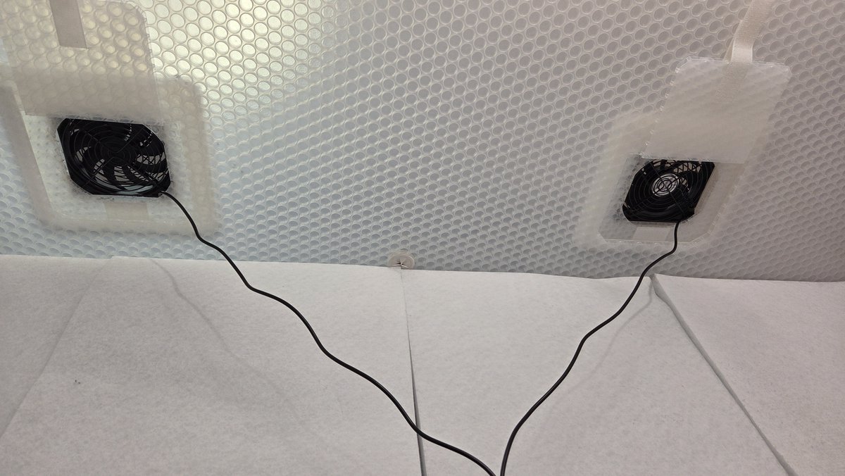 BackHack バックハック tweet media