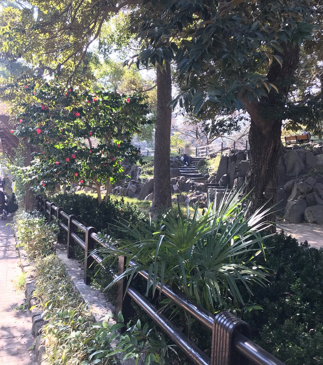 日比谷公園の歴史と文化をこよなく愛する会 tweet media