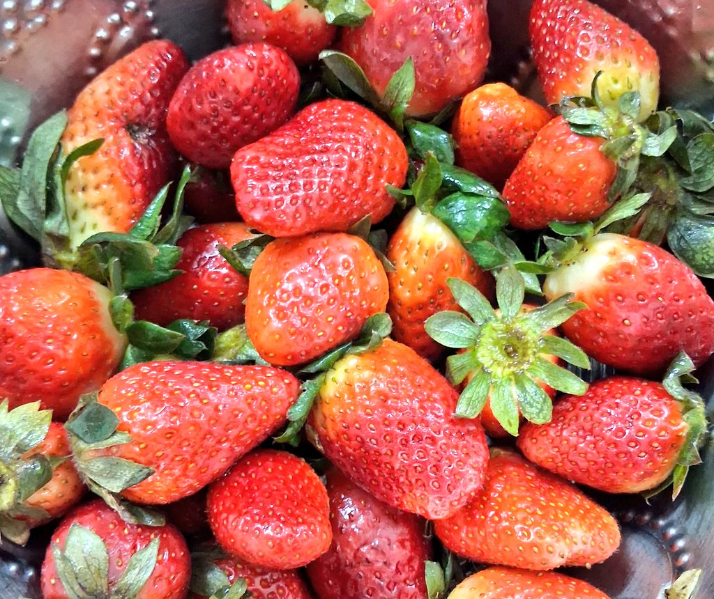 Pahadi Voice (🏔️Xac🌲) tweet media