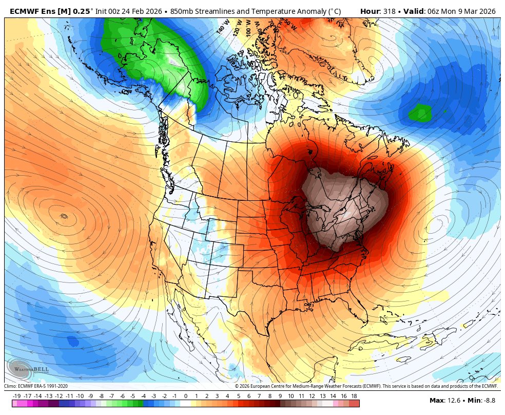 Boston Weather Consulting (by Owen) tweet media