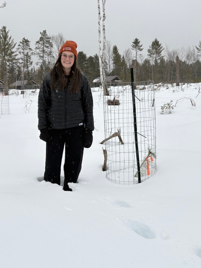 Forests Canada tweet media