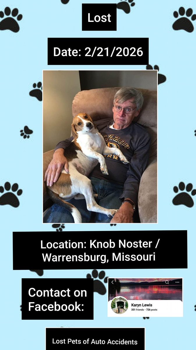 Buddy was in a car accident and ran off 
The accident happened February 21, 2026
#KnobNoster / #Warrensburg #Missouri 
Beagle
Male
Tri-Colored~ Brown, Black and White
Please contact-> buff.ly/kRbhDNH with any sightings or information. 
#MO #Lostdog