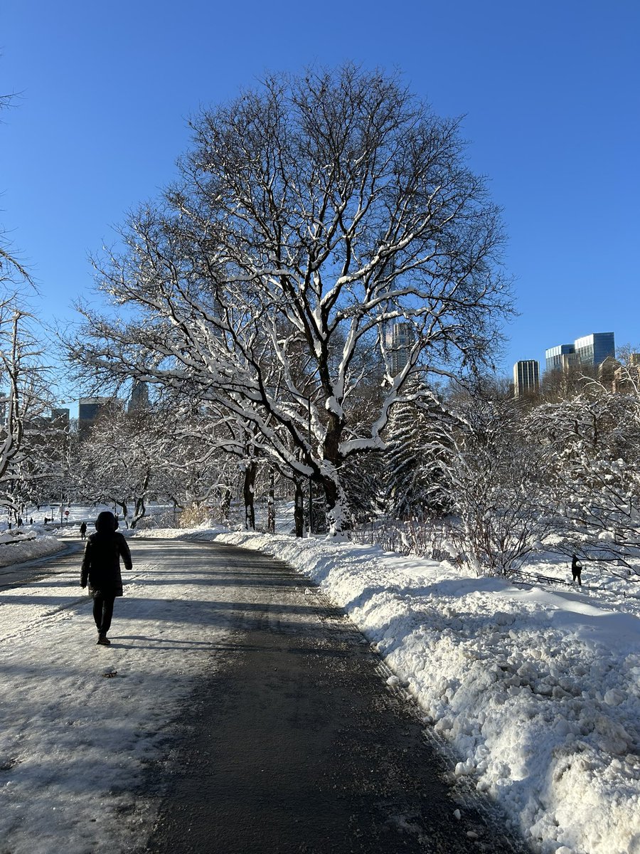 Lyle Press tweet media