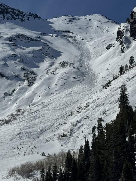 Utah Avalanche Center tweet media