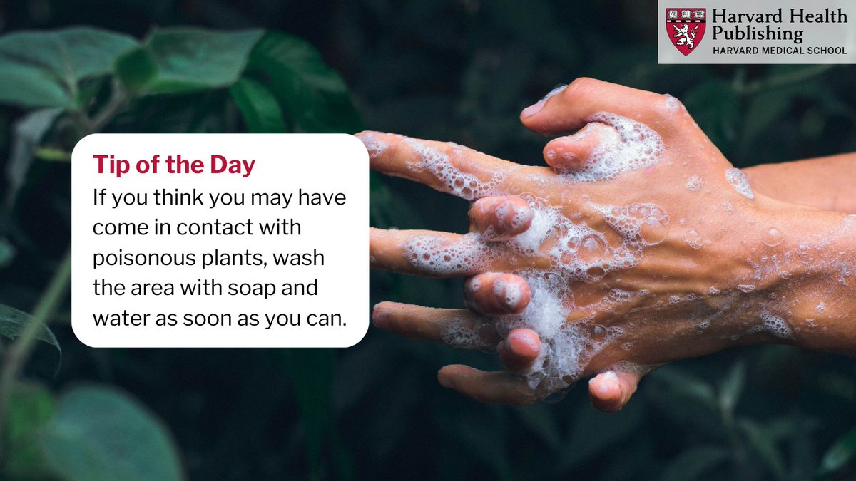 Harvard Health tweet media