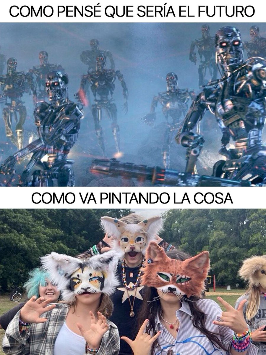 Cabronazi's tweet photo. Yo esperando Terminator y llegó Termi-gato https://t.co/wHJIcGjz54
