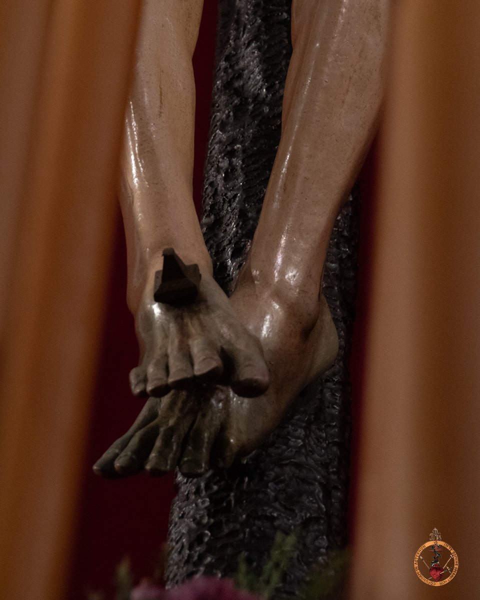 HdadAmargura_'s tweet photo. [𝐂𝐔𝐋𝐓𝐎𝐒] Solemne Quinario en honor al Señor de la Amargura

El Señor de la Amargura ya se encuentra en su altar de cultos para la celebración de su Solemne Quinario.

El exorno floral está compuesto por, clavel hypnosis, eryngiun y flore de cera.

📲 #AmarguraCarmona https://t.co/bOeipjAgoy