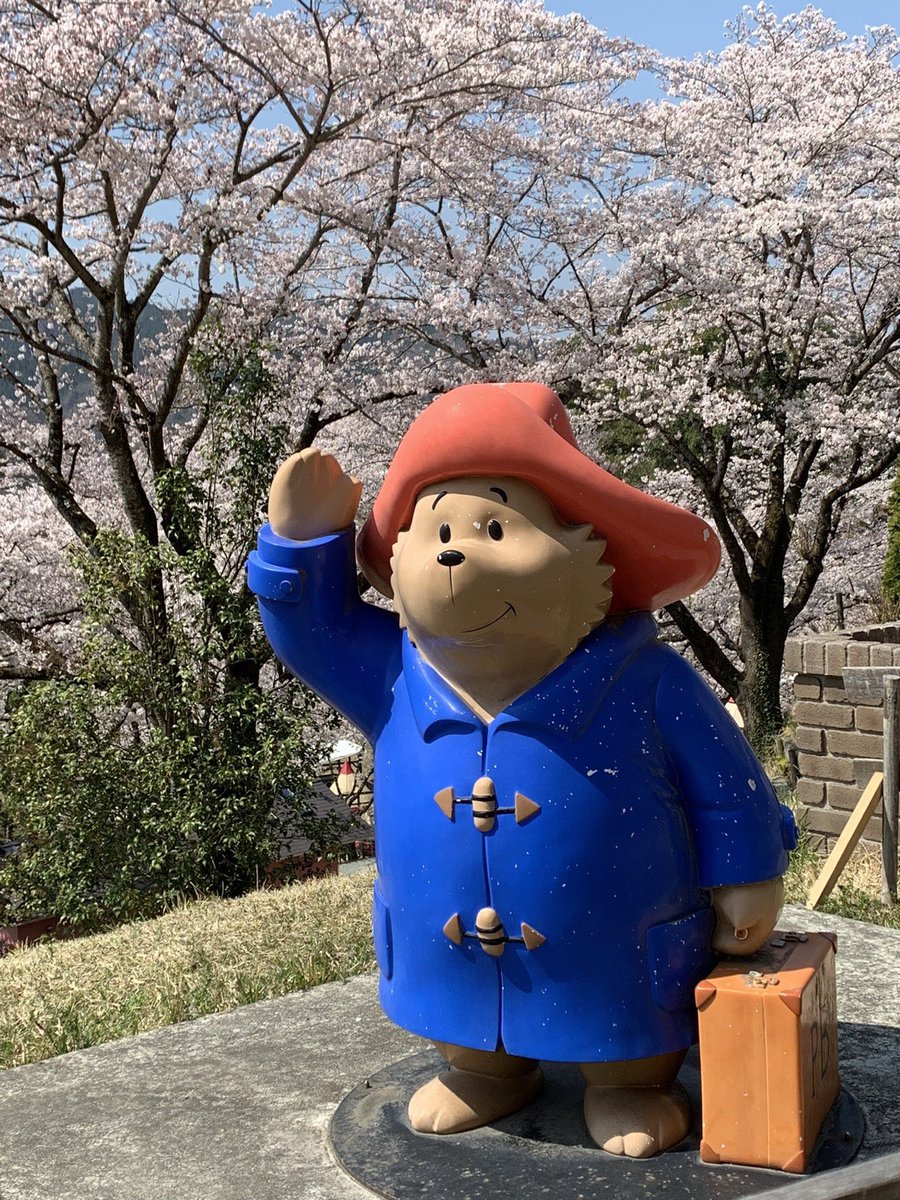 莎伦の 玫瑰🌹🇯🇵✝️ tweet media